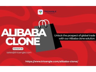 Launch Your Own Global B2B Marketplace with an Alibaba Clone