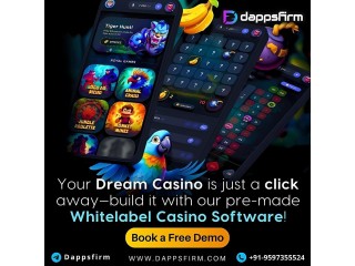 Crypto Gaming Business Growth Starts with Our White Label Casino Software