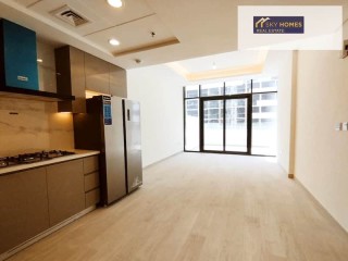 ALL NEW LUXURY 3 BEDROOM APARTMENT WITH KITCHEN APPLIANCES//ALL AM
