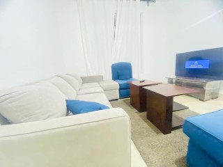 VIP  Perfect Furnished Flat one bedroom Hall in khalifa city oppos