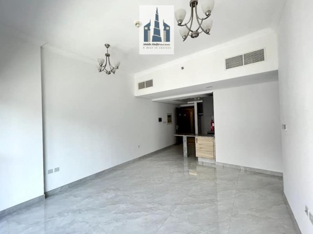 spacious-1bhk-apartment-available-big-0