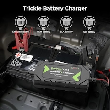 roypow-12v-battery-charger-10-amp-big-0