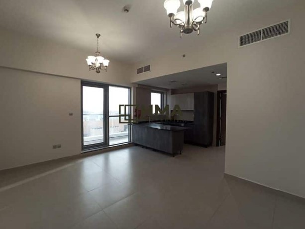 spacious-1bhk-apartment-with-pool-gym-rent-47k-big-0